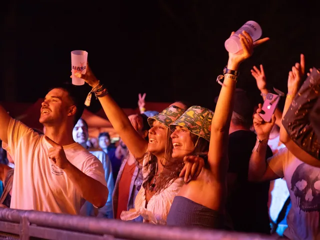 A festival crowd cheering at the barrier at night